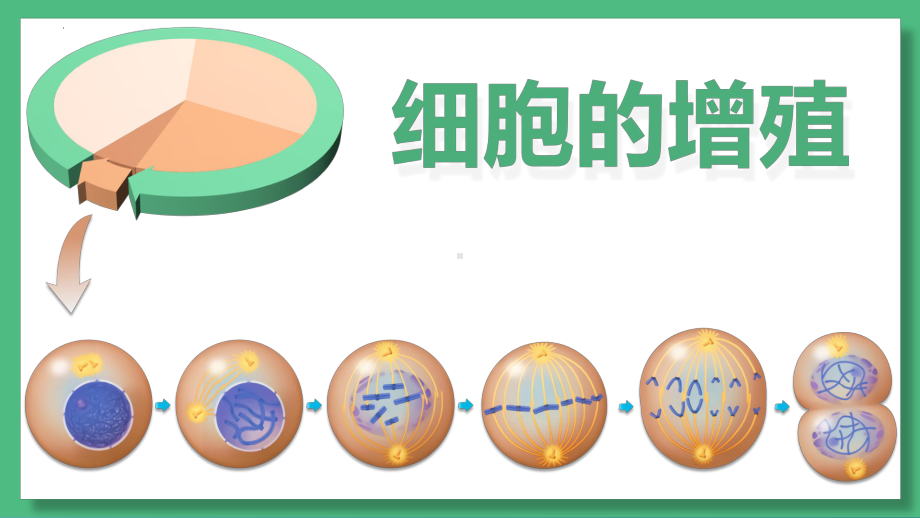 6.1.1 细胞的增殖（第一课时） ppt课件-2023新人教版（2019）必修第一册.pptx_第1页