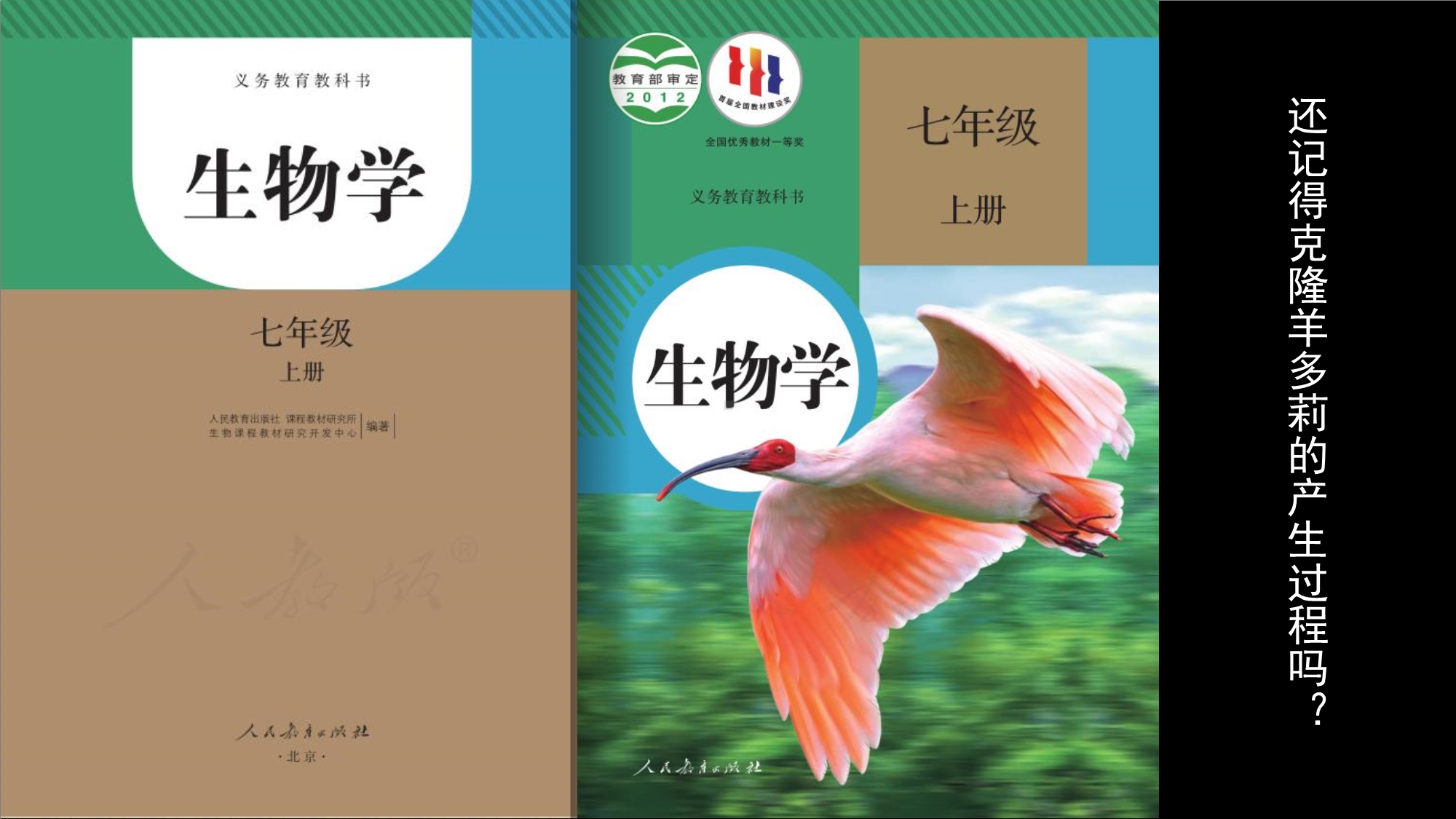 3.3细胞核的结构和功能 ppt课件--2023新人教版（2019）必修第一册.pptx_第3页