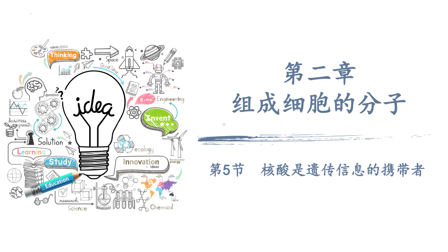 2.5 核酸是遗传信息的携带者 ppt课件-2023新人教版（2019）必修第一册.pptx_第1页