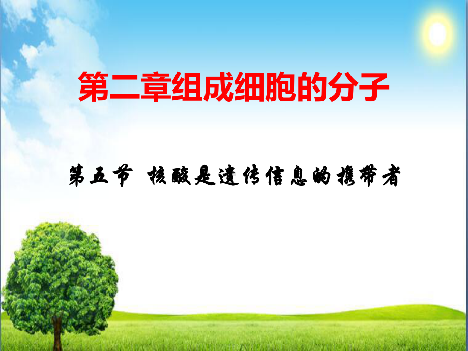 2.5核酸是遗传信息的携带者 ppt课件(31)-2023新人教版（2019）必修第一册.pptx_第1页