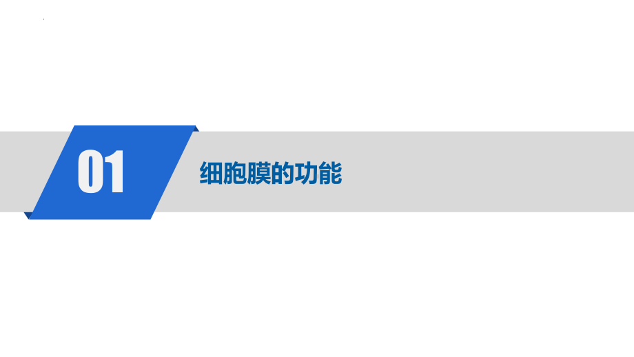 3.1 细胞膜的结构与功能 ppt课件-2023新人教版（2019）必修第一册.pptx_第3页