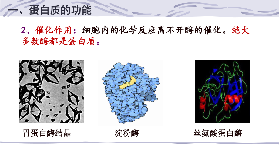 2.4蛋白质是生命活动的主要承担者 ppt课件 -2023新人教版（2019）必修第一册.pptx_第3页