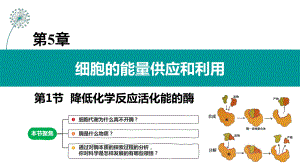 5.1 降低化学反应活化能的酶- ppt课件-2023新人教版（2019）必修第一册.pptx