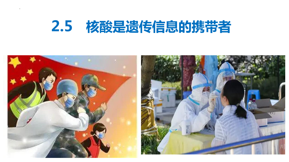 2.5 核酸是遗传信息的携带者 ppt课件-2023新人教版（2019）必修第一册.pptx_第1页