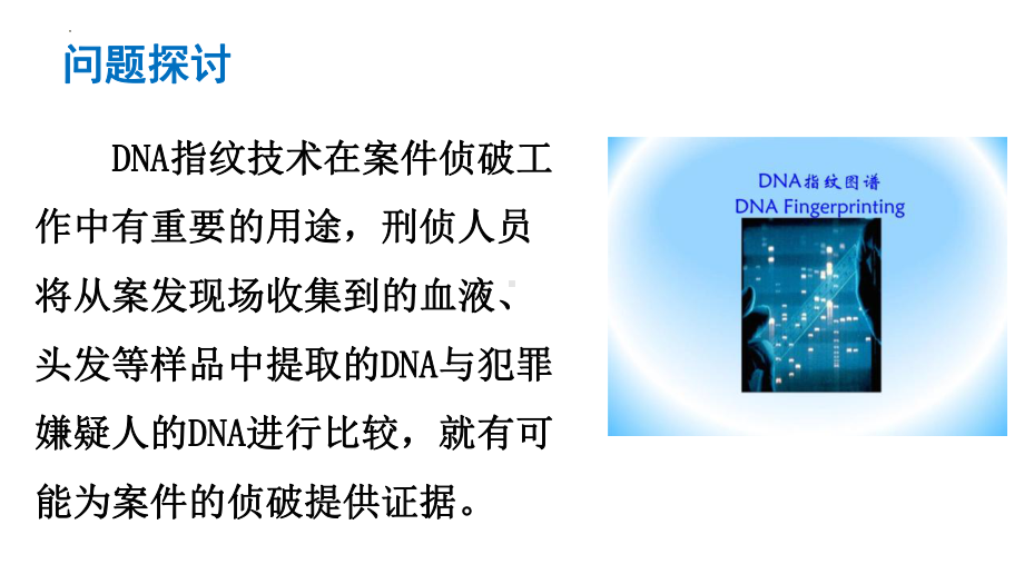 2.5 核酸是遗传信息的携带者 ppt课件-2023新人教版（2019）必修第一册.pptx_第3页