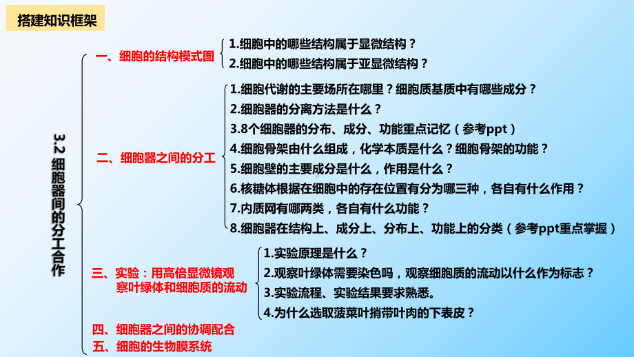 一轮复习：3.2 细胞器之间的分工合作 ppt课件-2023新人教版（2019）必修第一册.pptx_第2页