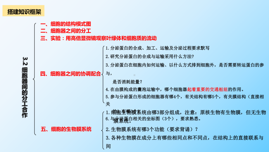 一轮复习：3.2 细胞器之间的分工合作 ppt课件-2023新人教版（2019）必修第一册.pptx_第3页