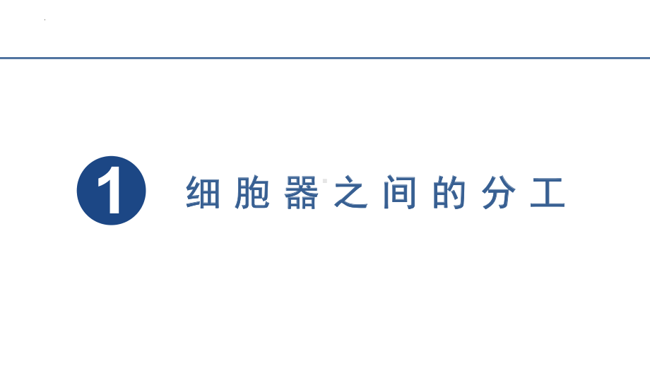 3.2细胞器之间的分工合作 ppt课件 -2023新人教版（2019）必修第一册.pptx_第2页