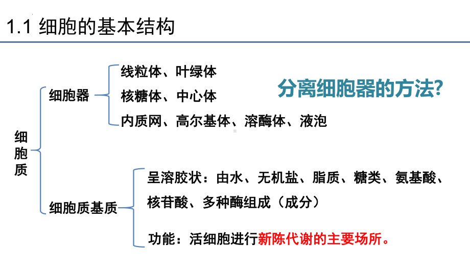 3.2细胞器之间的分工合作 ppt课件 -2023新人教版（2019）必修第一册.pptx_第3页