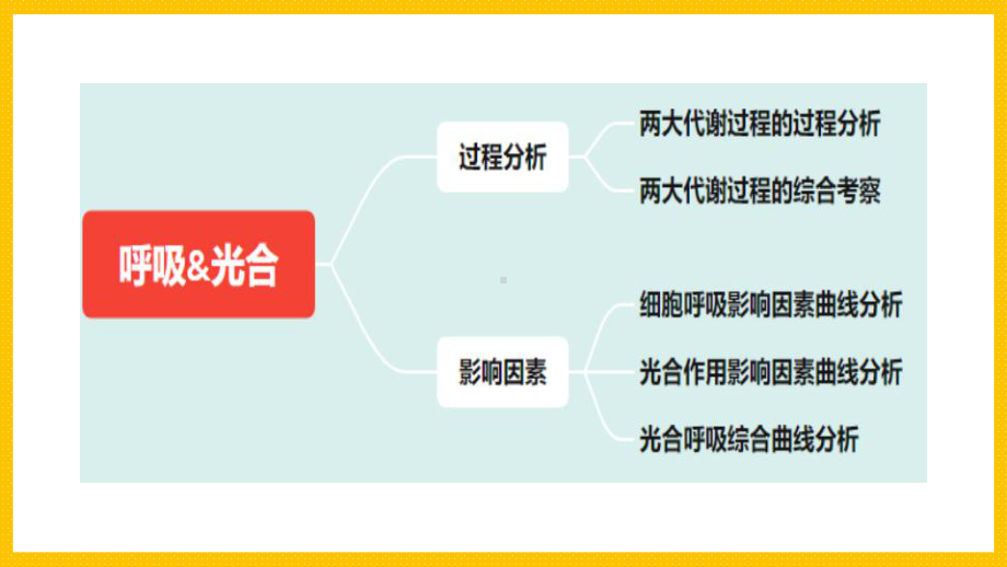 二轮复习 ppt课件：光合呼吸-2023新人教版（2019）必修第一册.pptx_第2页