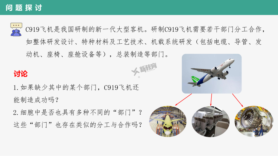 3.2.1 细胞器之间的分工 ppt课件-2023新人教版（2019）必修第一册.pptx_第2页