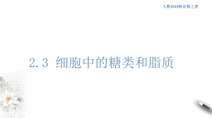 2.3 细胞中的糖类和脂质ppt课件--2023新人教版（2019）必修第一册.pptx