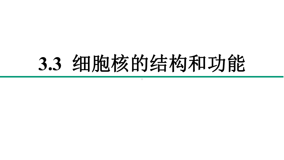 3.3 细胞核的结构和功能（教学 ppt课件）-2023新人教版（2019）必修第一册.pptx_第1页