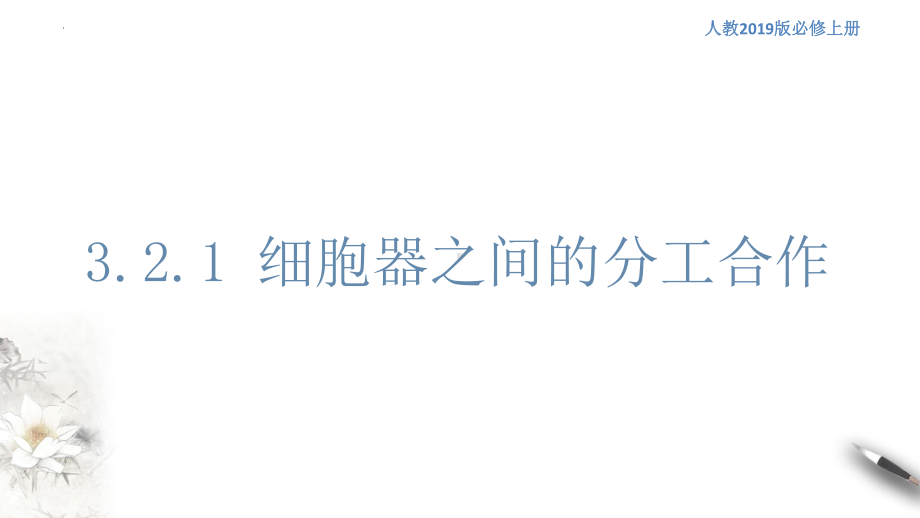 3.2细胞器之间的分工合作ppt课件--2023新人教版（2019）必修第一册.pptx_第1页