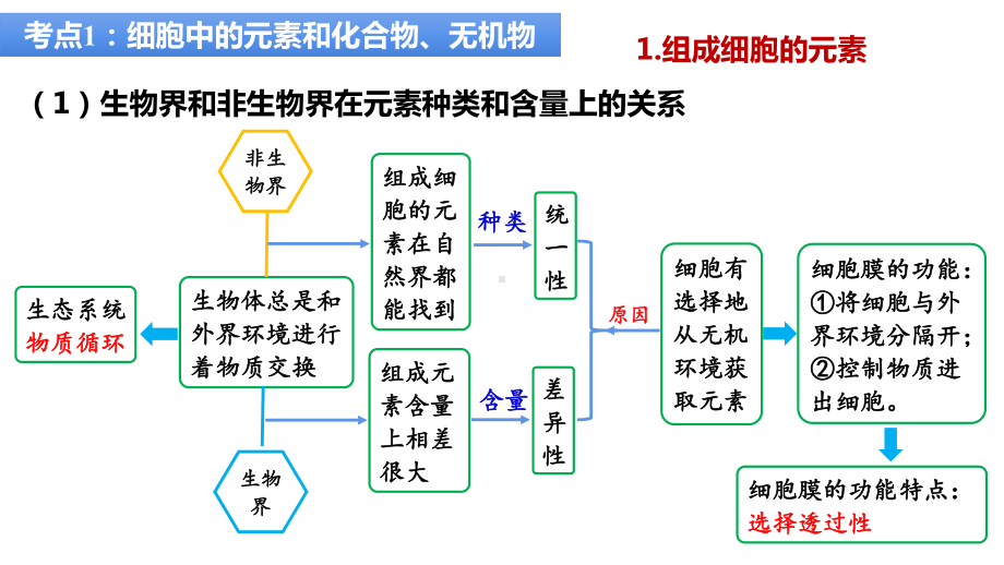 一轮复习 ppt课件： 组成细胞的元素及无机化合物、糖类和脂质 -2023新人教版（2019）必修第一册.pptx_第3页