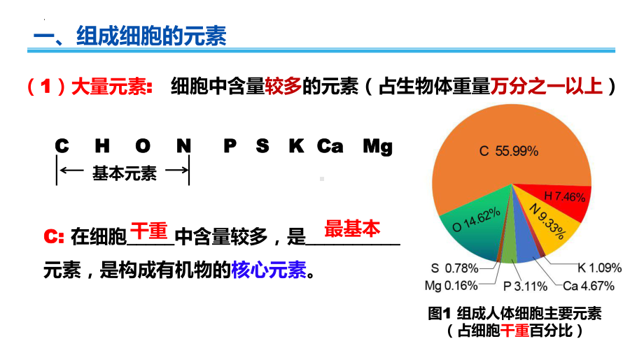 学业水平考试+学考复习-第二章组成细胞的分子 ppt课件-2023新人教版（2019）必修第一册.pptx_第3页