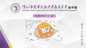 3.3细胞核的结构与功能ppt课件-2023新人教版（2019）必修第一册.pptx