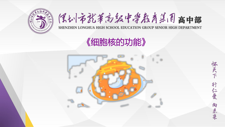 3.3细胞核的结构与功能ppt课件-2023新人教版（2019）必修第一册.pptx_第1页