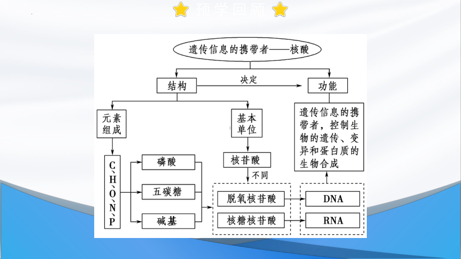 2.5 核酸是遗传信息的携带者 ppt课件-2023新人教版（2019）必修第一册.pptx_第3页