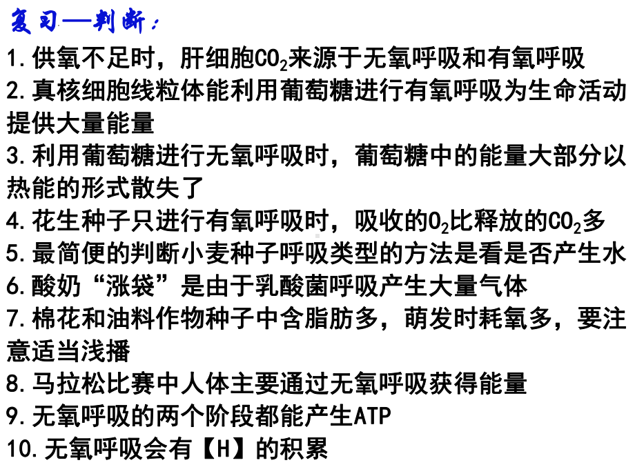 5.4光合作用1 捕获光能的色素和结构 ppt课件-2023新人教版（2019）必修第一册.pptx_第1页