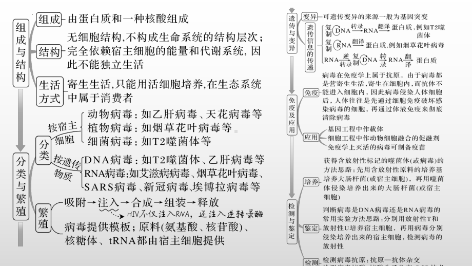 二轮复习 ppt课件01 病毒专题+组成细胞的分子-2023新人教版（2019）必修第一册.pptx_第3页