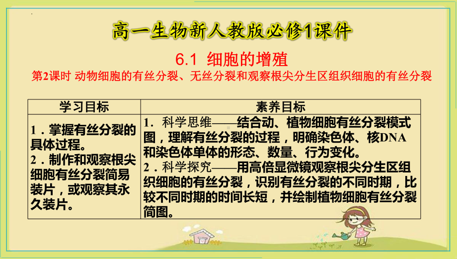 6.1动物细胞的有丝分裂、无丝分裂和观察根尖分生区组织细胞的有丝分裂ppt课件-2023新人教版（2019）必修第一册.pptx_第1页