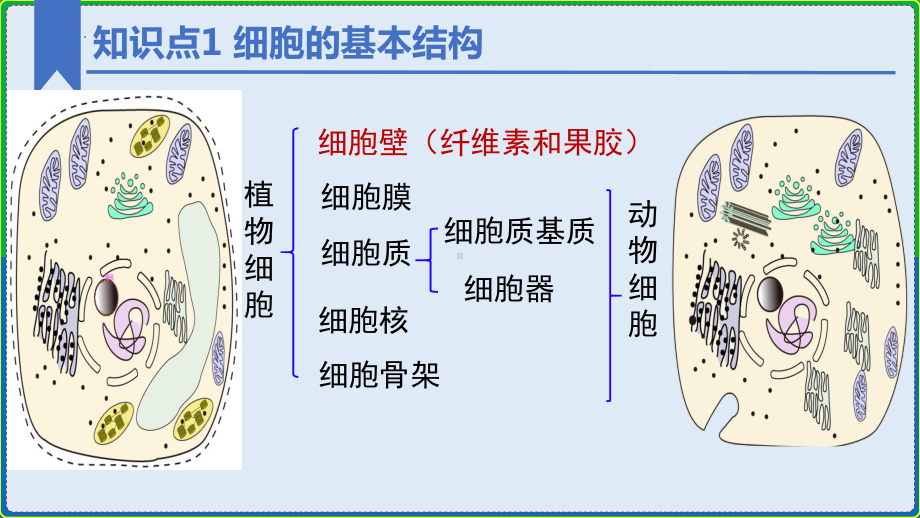 第3章 细胞的基本结构 ppt课件-2023新人教版（2019）必修第一册.pptx_第3页