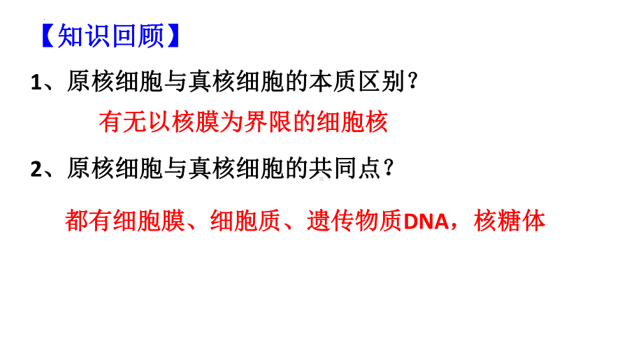 3.2细胞器之间的分工合作 ppt课件--2023新人教版（2019）必修第一册.pptx_第3页