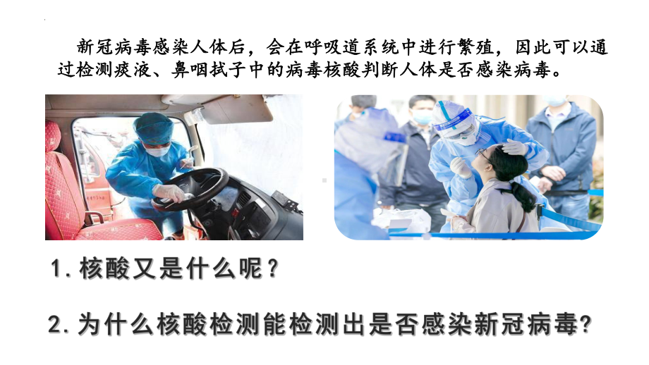 2.5核酸是遗传信息的携带者 ppt课件-2023新人教版（2019）必修第一册.pptx_第1页