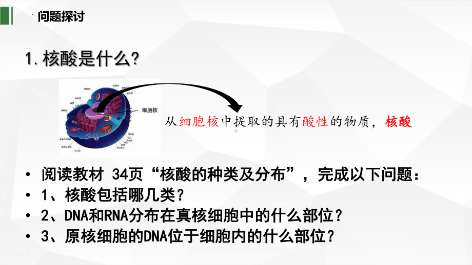 2.5核酸是遗传信息的携带者 ppt课件-2023新人教版（2019）必修第一册.pptx_第3页