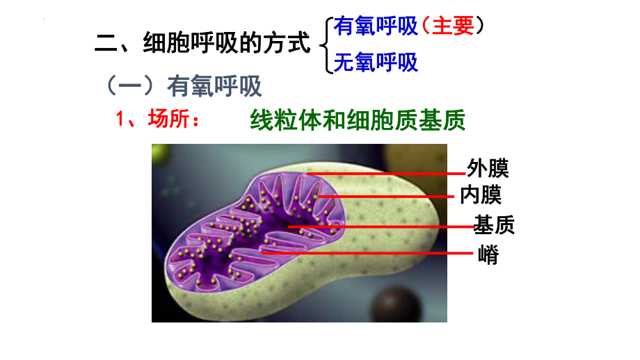 一轮复习 ppt课件第七讲 细胞呼吸的原理和应用 -2023新人教版（2019）必修第一册.pptx_第3页