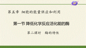 5.1 降低化学反应活化能的酶 第二课时 ppt课件-2023新人教版（2019）必修第一册.pptx