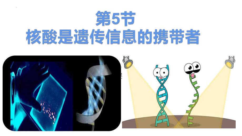 2.5 核酸是遗传信息的携带者 ppt课件-2023新人教版（2019）必修第一册.pptx_第1页