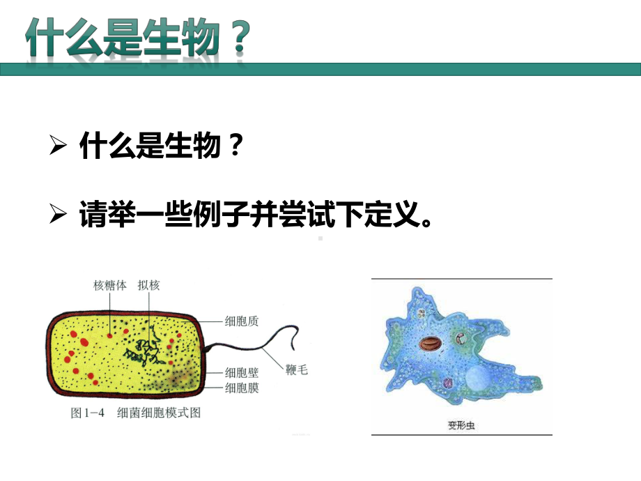 第一课 ppt课件--2023新人教版（2019）必修第一册.pptx_第2页