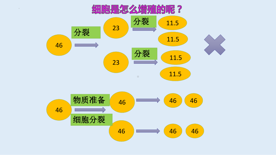 6.1细胞的增殖 ppt课件-2023新人教版（2019）必修第一册.pptx_第3页