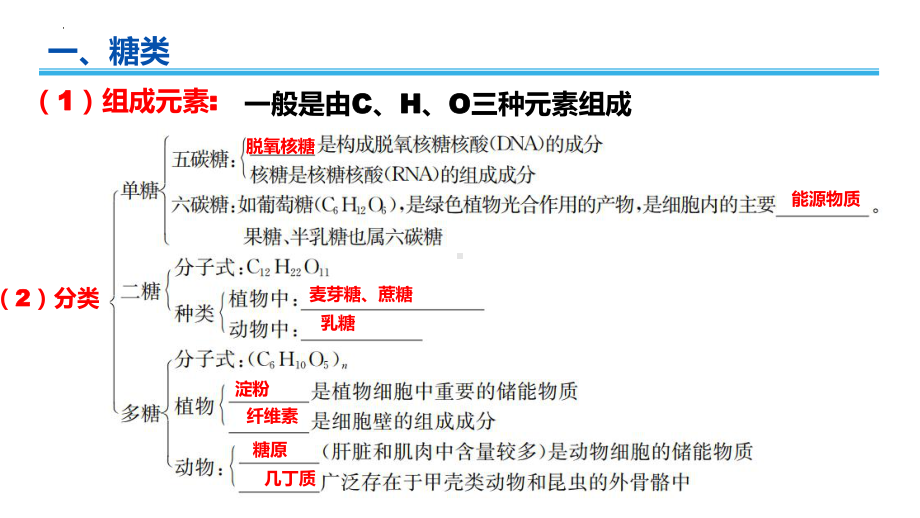 学业水平考试+学考复习-第二章组成细胞的分子（第二课时） ppt课件-2023新人教版（2019）必修第一册.pptx_第3页