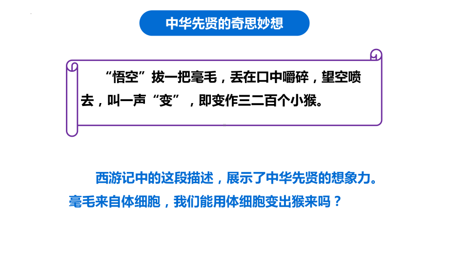 3.3细胞核的结构和功能 ppt课件 -2023新人教版（2019）必修第一册.pptx_第2页