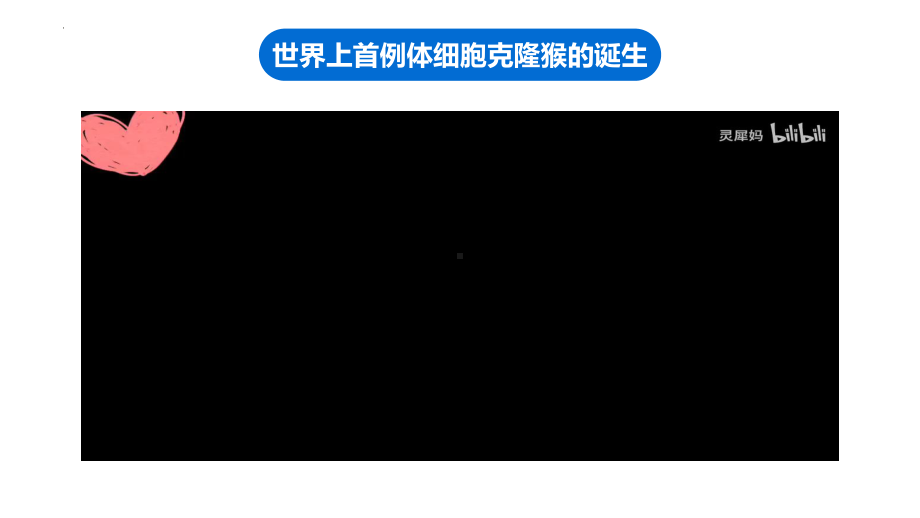 3.3细胞核的结构和功能 ppt课件 -2023新人教版（2019）必修第一册.pptx_第3页