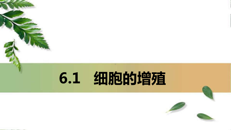 6.1细胞的增殖（第二课时）ppt课件-2023新人教版（2019）必修第一册.pptx_第1页