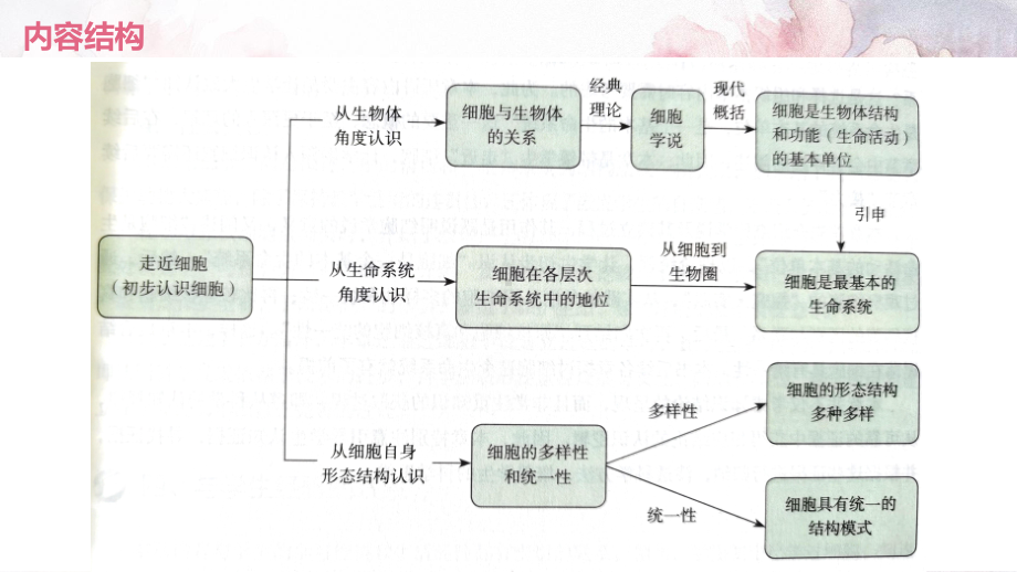 一轮复习：1.1细胞是生命活动的基本单位 ppt课件-2023新人教版（2019）必修第一册.pptx_第2页