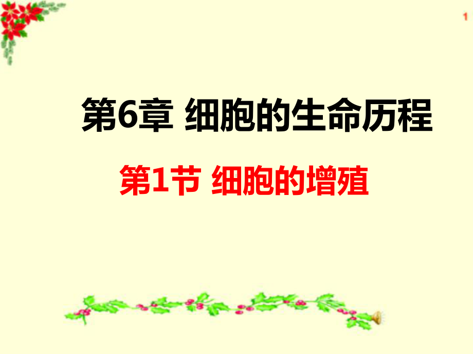 6.1细胞的增殖 ppt课件-2023新人教版（2019）必修第一册.pptx_第1页