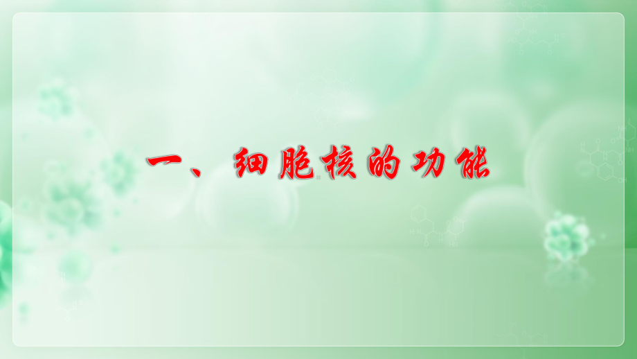 3.3 细胞核的结构和功能 ppt课件-2023新人教版（2019）必修第一册.pptx_第3页