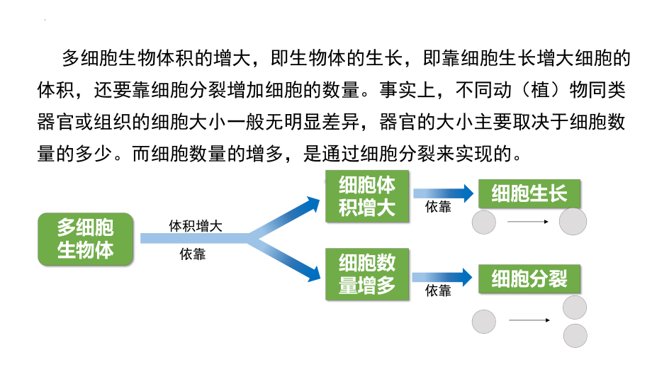 6.1 细胞的增殖 ppt课件-2023新人教版（2019）必修第一册.pptx_第3页