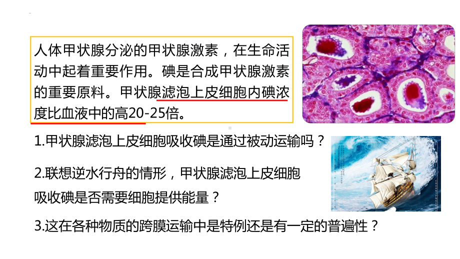 4.2主动运输与胞吞胞吐ppt课件-2023新人教版（2019）必修第一册.pptx_第2页