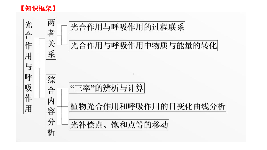 一轮复习：第10讲 光合作用与呼吸作用 ppt课件-2023新人教版（2019）必修第一册.pptx_第2页