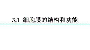 3.1 细胞膜的结构和功能 ppt课件--2023新人教版（2019）必修第一册.pptx