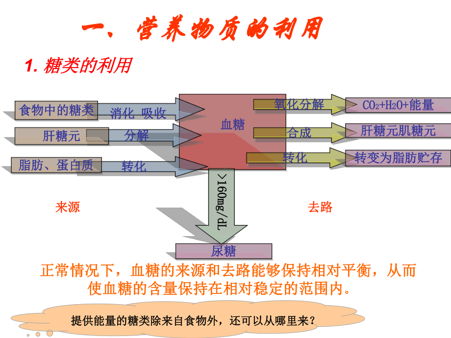 九年级上《体内物质的动态平衡》实用教学课件浙教版2.ppt_第3页