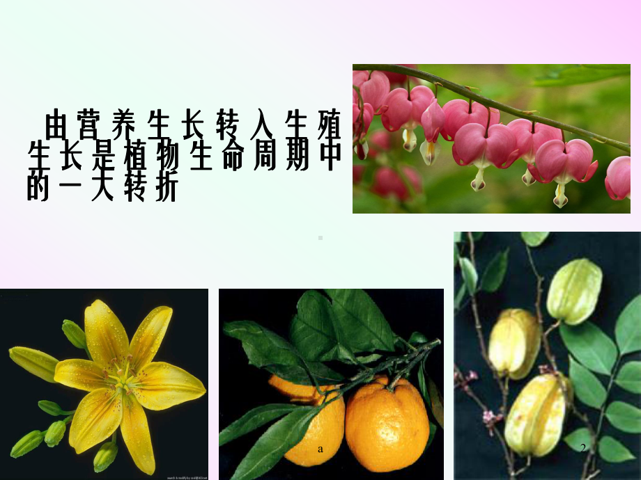 《植物的生殖生》教学课件.ppt_第2页