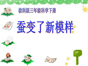 《蚕变了新模样》动物的生命周期教学课件2.ppt