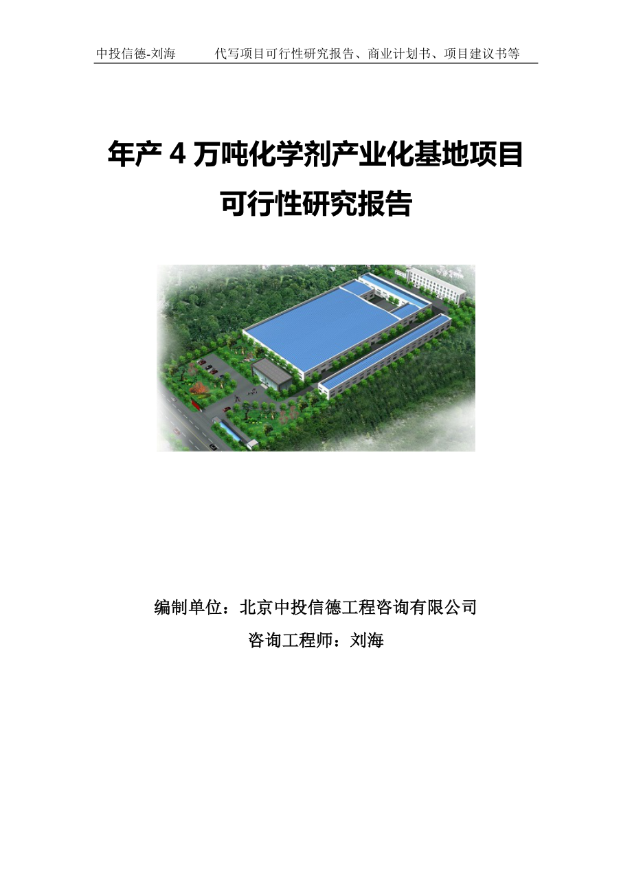 年产4万吨化学剂产业化基地项目可行性研究报告写作模板.doc_第1页